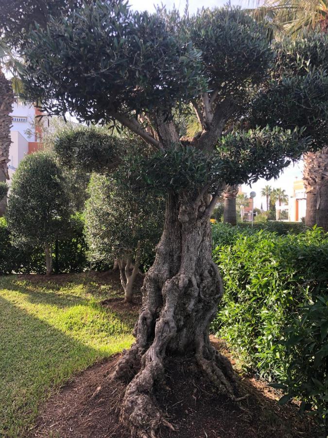 Vera Natura Apartamento Los Olivos Appartamento Esterno foto